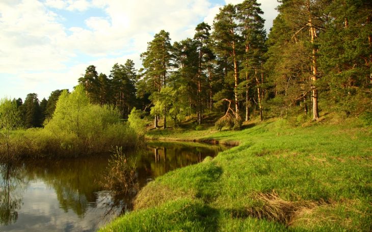 Где организовать досуг на природе в Новосибирске?