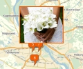 Как выбрать букет для невесты в Новосибирске?