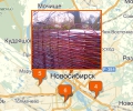 Где купить лозу в Новосибирске?